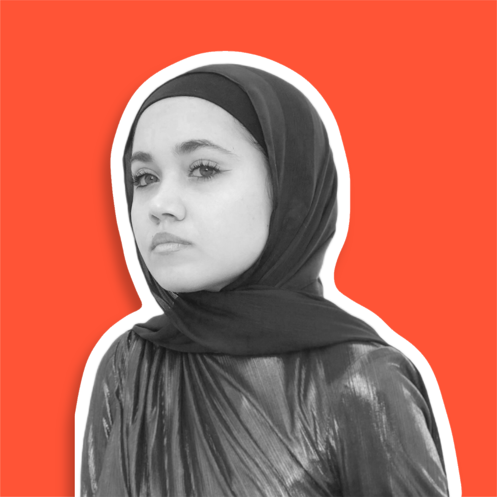 Nour Hassan